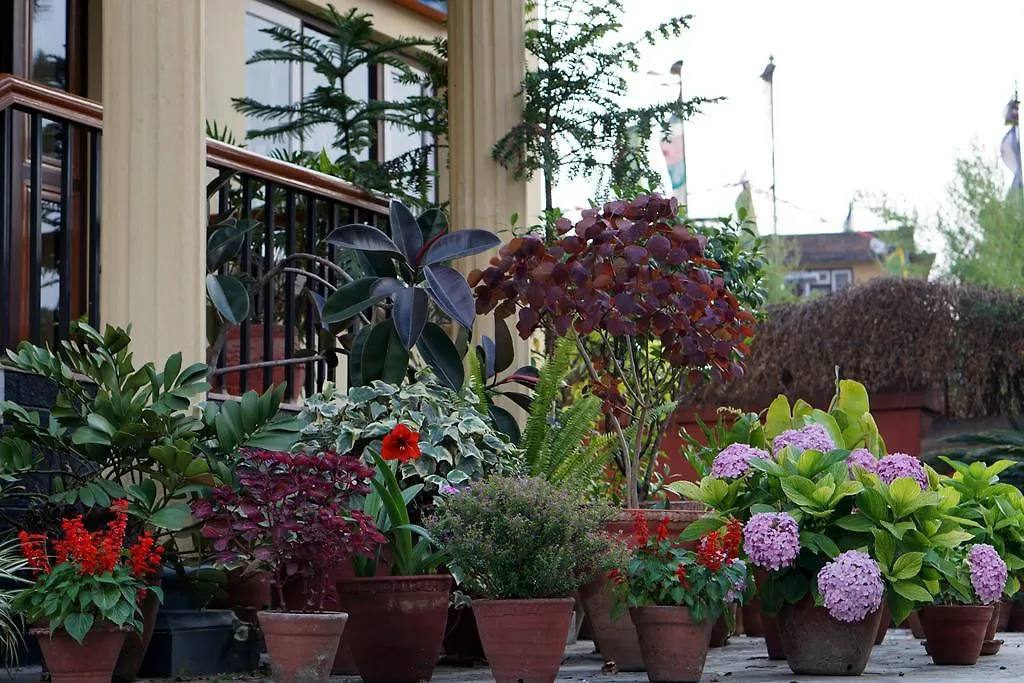 Swayambhu View Guest House Kathmandu